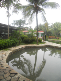 photo 267453