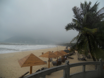 photo 456974