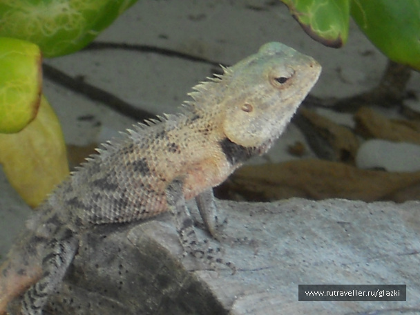 photo 105853