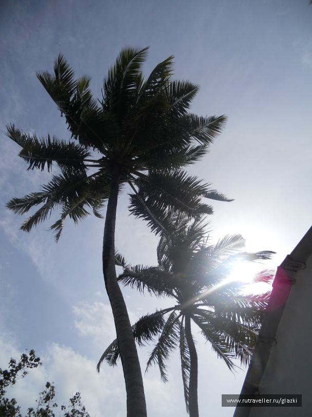 photo 105862
