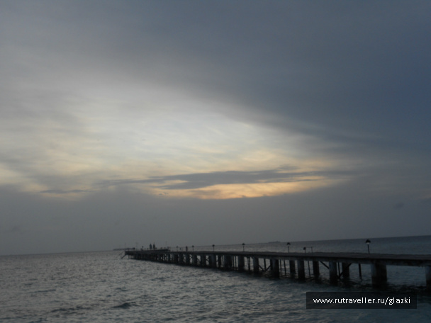 photo 105869