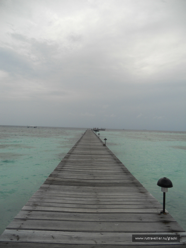 photo 105872