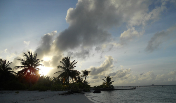 mldvs2011 674