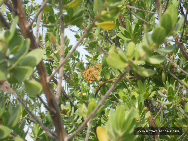 photo 357847