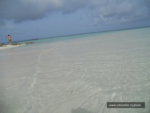 photo 357859