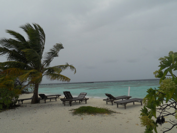 photo 475630