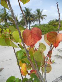 photo 475631