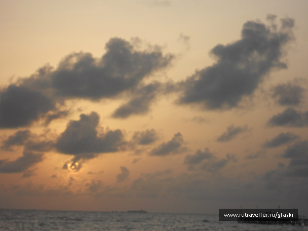 photo 528323