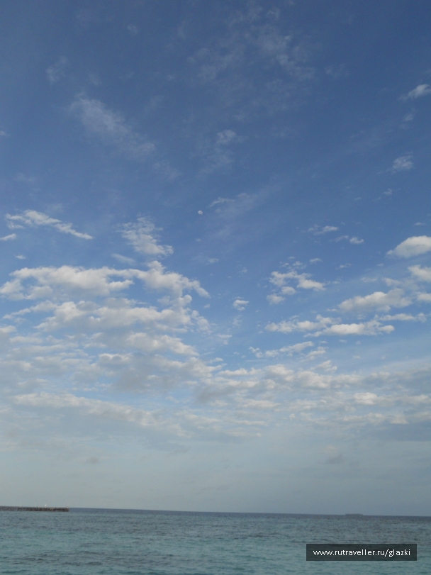 photo 529031