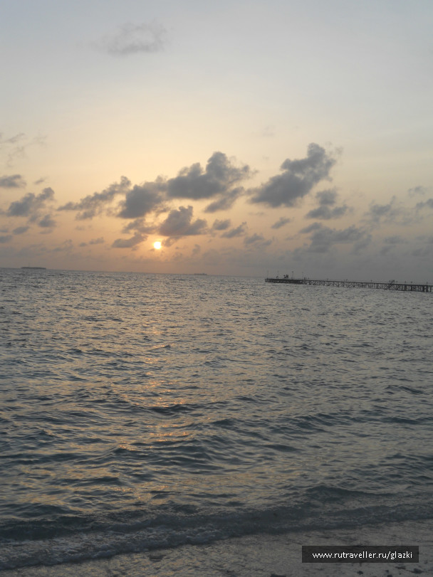 photo 556907