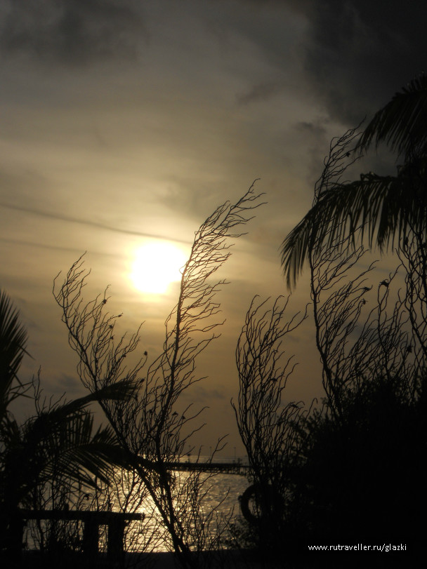 photo 608260