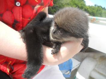 photo 105940