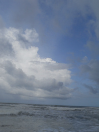 photo 327747