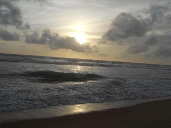 photo 561913