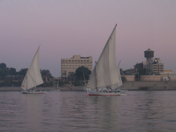 photo 498688