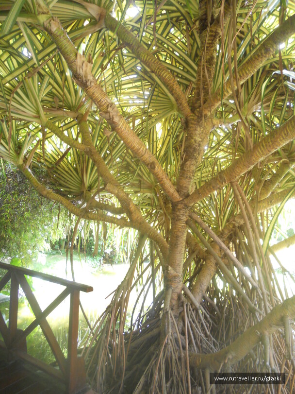 photo 569240