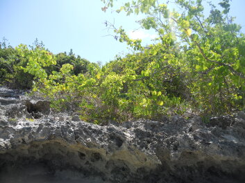photo 597673