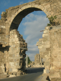 photo 219187