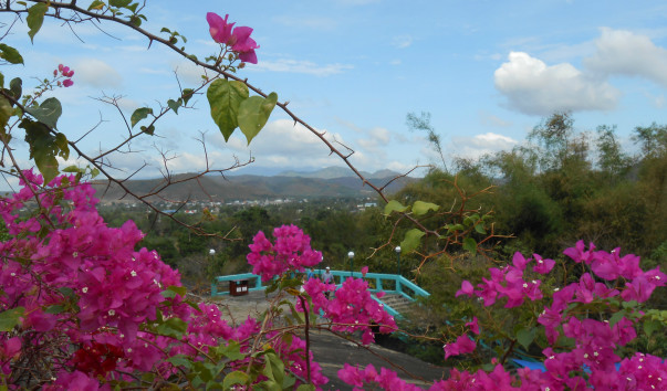 VN001-04 035