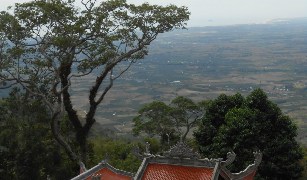 VN001-04 082