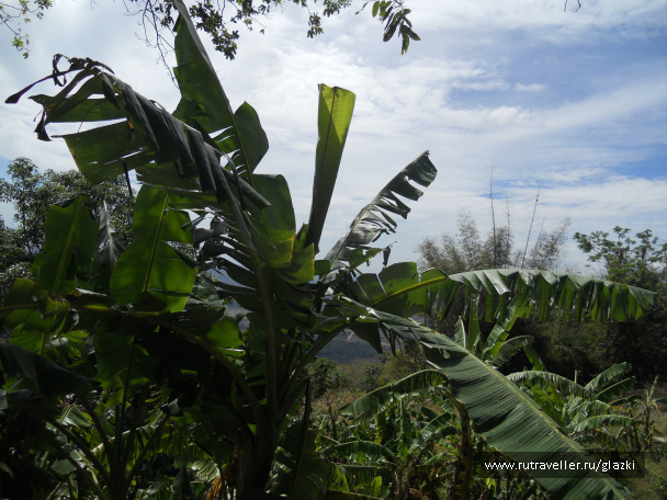 photo 557490