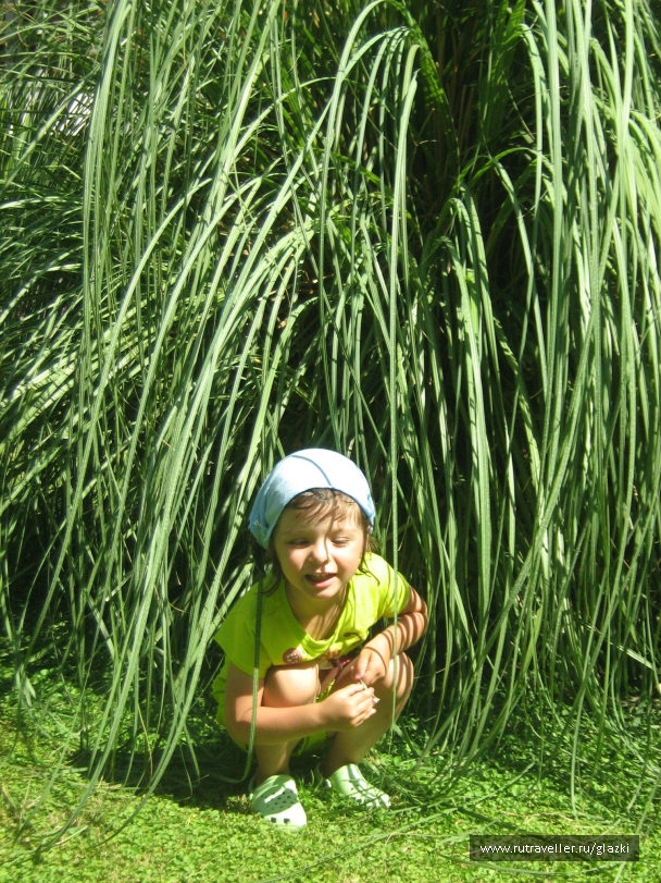photo 261759