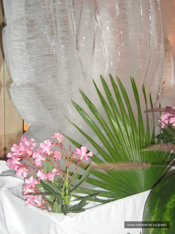 photo 261755