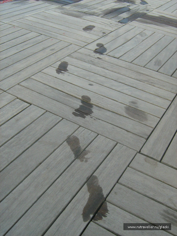 photo 261836