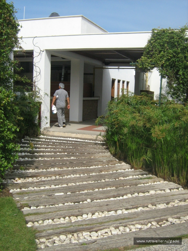 photo 261835
