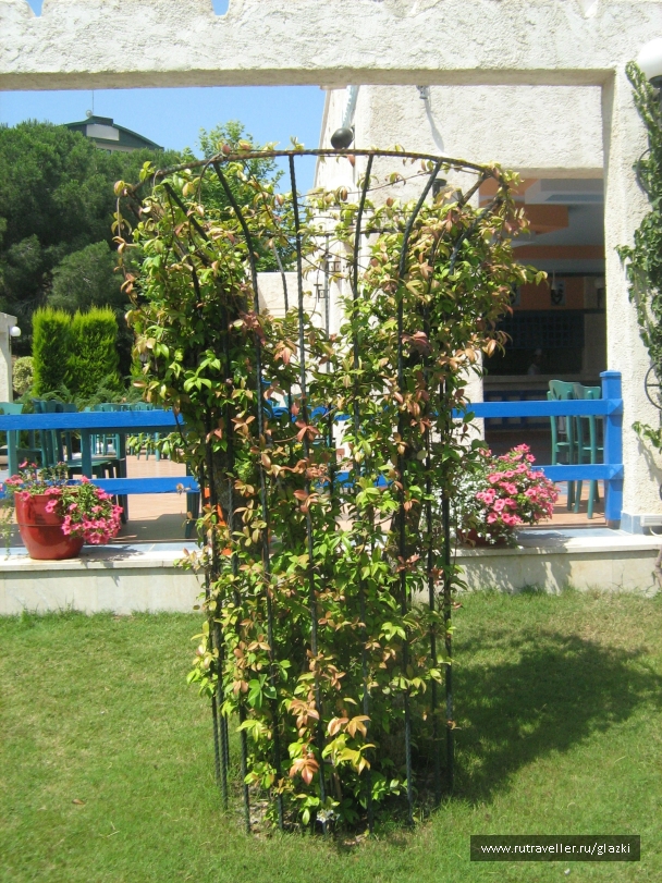 photo 263008