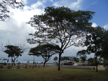 photo 385963