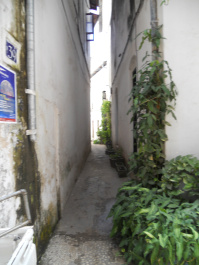 photo 386184