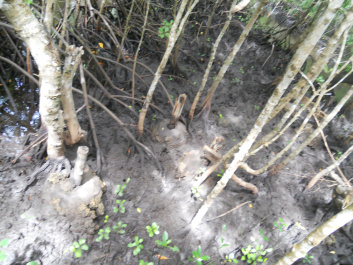 photo 407117