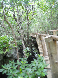 photo 407120