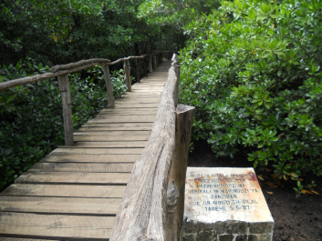 photo 407121