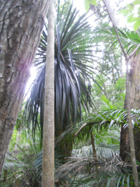 photo 407122