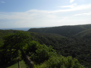 photo 427686