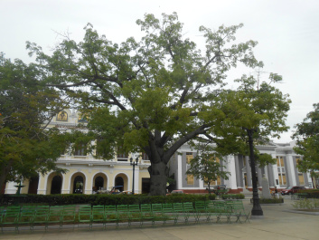 photo 443868