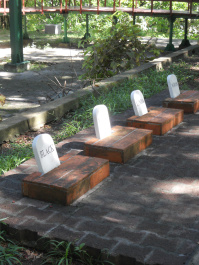 photo 446248