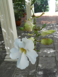photo 448297