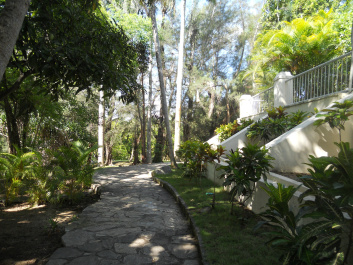 photo 497459