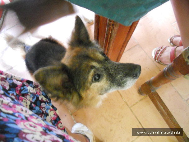 photo 503786