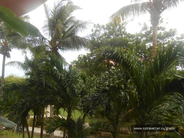 photo 512763
