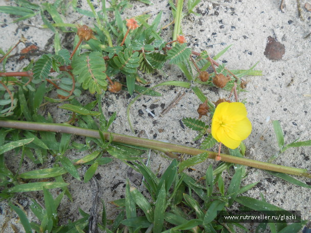 photo 562452