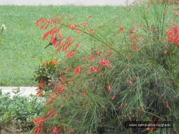 photo 566235
