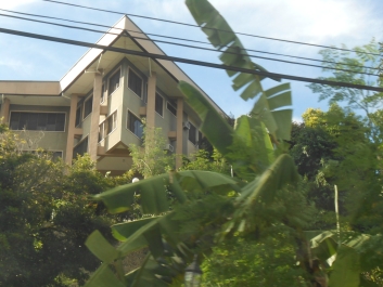 photo 768801