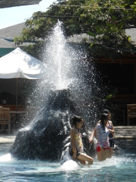 photo 843774