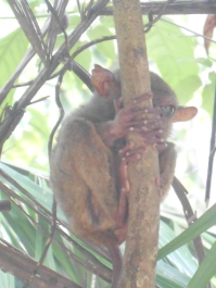 photo 769425