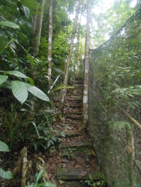 photo 769702