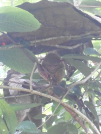 photo 769703